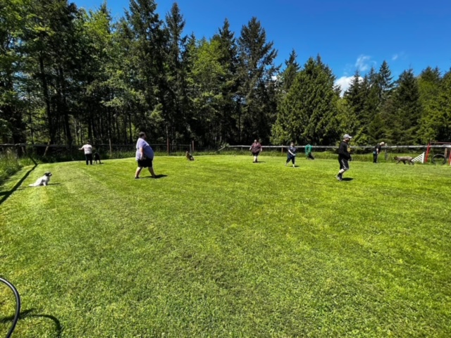 Handlers and dogs on the play field
