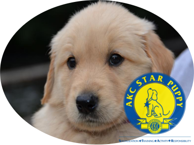Puppy Talk Logo